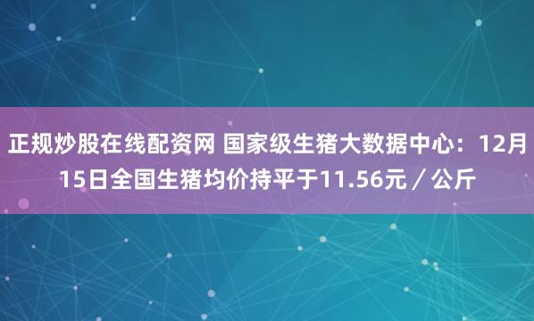 正规炒股在线配资网 国家级生猪大数据中心：12月15日全国生猪均价持平于11.56元／公斤